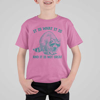 Funny Raccoon Meme It Is What It Is T Shirt For Kid And It Is Not Great Mental Health Support - Wonder Print Shop