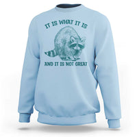 Funny Raccoon Meme It Is What It Is Sweatshirt And It Is Not Great Mental Health Support - Wonder Print Shop