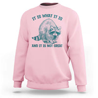 Funny Raccoon Meme It Is What It Is Sweatshirt And It Is Not Great Mental Health Support - Wonder Print Shop
