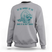Funny Raccoon Meme It Is What It Is Sweatshirt And It Is Not Great Mental Health Support - Wonder Print Shop