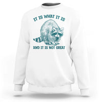Funny Raccoon Meme It Is What It Is Sweatshirt And It Is Not Great Mental Health Support - Wonder Print Shop