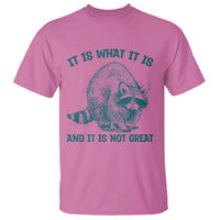 Funny Raccoon Meme It Is What It Is T Shirt And It Is Not Great Mental Health Support - Wonder Print Shop