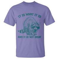 Funny Raccoon Meme It Is What It Is T Shirt And It Is Not Great Mental Health Support - Wonder Print Shop