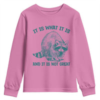 Funny Raccoon Meme It Is What It Is Youth Sweatshirt And It Is Not Great Mental Health Support - Wonder Print Shop