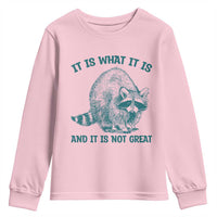 Funny Raccoon Meme It Is What It Is Youth Sweatshirt And It Is Not Great Mental Health Support - Wonder Print Shop