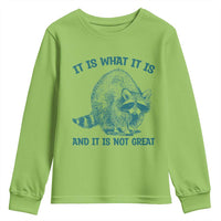 Funny Raccoon Meme It Is What It Is Youth Sweatshirt And It Is Not Great Mental Health Support - Wonder Print Shop