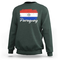 Vintage Paraguay Flag Paraguaya Heritage Pride Roots Sweatshirt