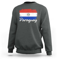 Vintage Paraguay Flag Paraguaya Heritage Pride Roots Sweatshirt
