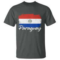 Vintage Paraguay Flag Paraguaya Heritage Pride Roots T Shirt