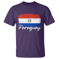 Vintage Paraguay Flag Paraguaya Heritage Pride Roots T Shirt