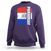 Paraguay Proud Roots Vintage Paraguaya Flag Heritage Pride Sweatshirt
