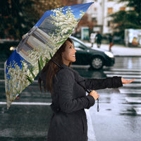 El Salvador Torogoz Bird Umbrella Divine Savior Monument Volcano Flor De Izote Art