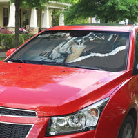 Cool Raccoon Drinking Iced Coffee Auto Sun Shade Funny Animal Meme Urban Night Photography