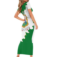 Saint Vincent and the Grenadines Turtle Family Matching Short Sleeve Bodycon Dress and Hawaiian Shirt with Coat of Arms and Green Heritage Design - Wonder Print Shop