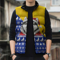 Bosnia and Herzegovina Christmas Sleeveless Puffer Jacket with Husky Dog Santa Hat and Blue Yellow Snowflake Pattern - Wonder Print Shop