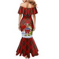 Liechtenstein Christmas Family Matching Mermaid Dress and Hawaiian Shirt with Reindeer Character Holiday Village and Plaid Sleeves - Wonder Print Shop