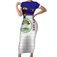 Belize National Emblem Family Matching Short Sleeve Bodycon Dress and Hawaiian Shirt with Toucan Print and Flag-Inspired Blue Design