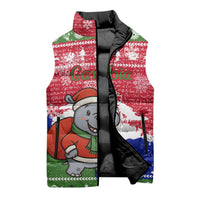 Gambia Christmas Sleeveless Puffer Jacket with Santa Hippo National Coat of Arms Snowflakes and Festive Holiday - Wonder Print Shop