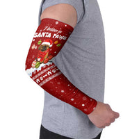 Pekingese Dog I Believe In Santa Paws Christmas Arm Sleeves Xmas Holiday Patterns - Wonder Print Shop