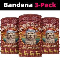 Havanese Best Dog Mom Christmas Neck Gaiter Xmas Holiday Patterns - Wonder Print Shop