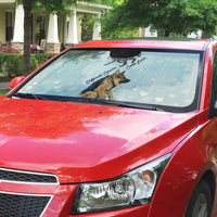 Jimothy The Raccoon And Dogs Auto Sun Shade Different Species Same Build Inspirational Heart