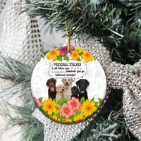 Labrador Retriever Personal Stalker Christmas Ceramic Ornament Funny Xmas Holiday Patterns - Wonder Print Shop