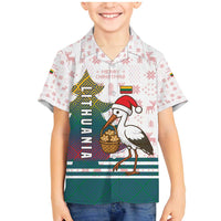 Lithuania Christmas Family Matching Mermaid Dress and Hawaiian Shirt with Stork Basket Snowflakes and Traditional Pattern Design - Wonder Print Shop
