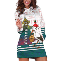 Lithuania Christmas Hoodie Dress with Stork Basket Snowflakes and Traditional Pattern Design - Wonder Print Shop