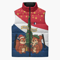 France Christmas Sleeveless Puffer Jacket with Eiffel Tower Chipmunks Candy Canes and Starry Night Design - Wonder Print Shop