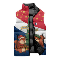 France Christmas Sleeveless Puffer Jacket with Eiffel Tower Chipmunks Candy Canes and Starry Night Design - Wonder Print Shop