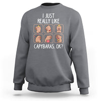 Capybara Lover Sweatshirt I Just Really Like Capybaras Cute Capy - Wonder Print Shop
