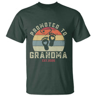 Retro Promoted To Grandma est 2025 T Shirt