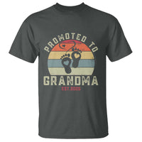 Retro Promoted To Grandma est 2025 T Shirt