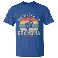 Retro Promoted To Grandma est 2025 T Shirt