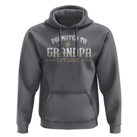 Retro Promoted To Grandpa est 2025 Hoodie