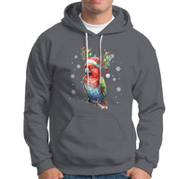 Christmas Hoodie Cute Parot Reindeer Santa Hat - Wonder Print Shop