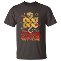 Year Of The Snake 2025 T Shirt Lunar New Year Chinese Traditional - Wonder Print Shop