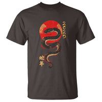 Year Of The Snake 2025 T Shirt Lunar New Year Chinese Snake - Wonder Print Shop
