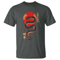 Year Of The Snake 2025 T Shirt Lunar New Year Chinese Snake - Wonder Print Shop