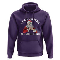 Funny Chrsitmas Hoodie I Can Deliver All Night Long
