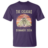 The Cicada Reunion U.S Tour 2024 T Shirt Broods XIII & XIX Summer Cicadas Concert Fest - Wonder Print Shop