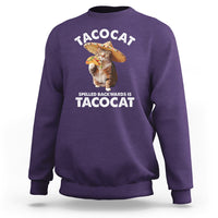 Funny Taco Cat Lover Sweatshirt Tacocat Spelled Backwards Tacos And Meme Cats - Wonder Print Shop