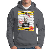 Christmas Hoodie Dear Santa I Can Explain Funny Raccoon Lover - Wonder Print Shop