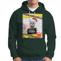 Christmas Hoodie Dear Santa I Can Explain Funny Raccoon Lover - Wonder Print Shop