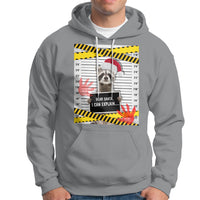 Christmas Hoodie Dear Santa I Can Explain Funny Raccoon Lover - Wonder Print Shop