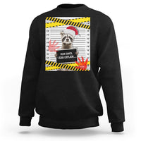 Christmas Sweatshirt Dear Santa I Can Explain Funny Raccoon Lover - Wonder Print Shop