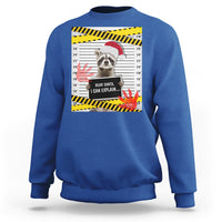 Christmas Sweatshirt Dear Santa I Can Explain Funny Raccoon Lover - Wonder Print Shop
