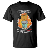 The World Is Crumbling All Around Me But Im Just Chilling So Its All Good T Shirt - Wonder Print Shop