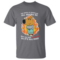 The World Is Crumbling All Around Me But Im Just Chilling So Its All Good T Shirt - Wonder Print Shop