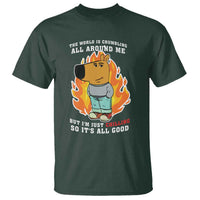The World Is Crumbling All Around Me But Im Just Chilling So Its All Good T Shirt - Wonder Print Shop